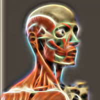 Anatomia Humana en 3D.Atlas