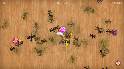 Ant Smasher - Bug Smash Mania