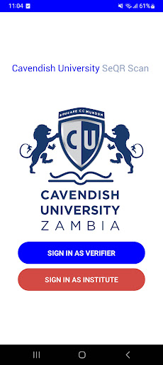 Предварительный просмотр приложения