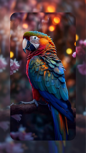 Android application Bird Wallpapers in 4K 2024 screenshort