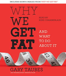 「Why We Get Fat: And What to Do About It」圖示圖片