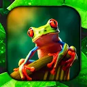 Frog Live Wallpaper APK