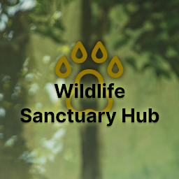 Wildlife Sanctuary Hub