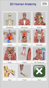 3D Bones and Organs (Anatomy) 5.3 Screenshots 9