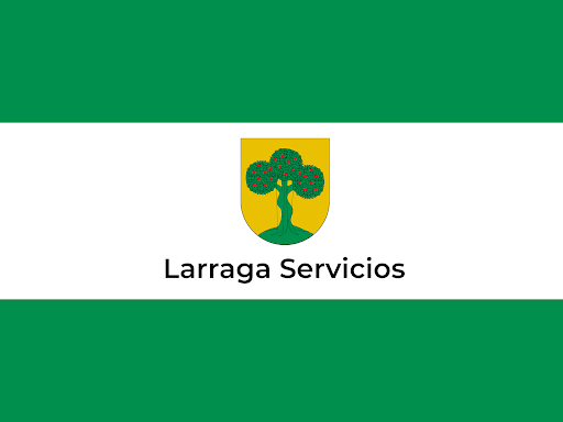 Larraga Servicios