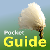 Pocket Guide UK Grasses icon