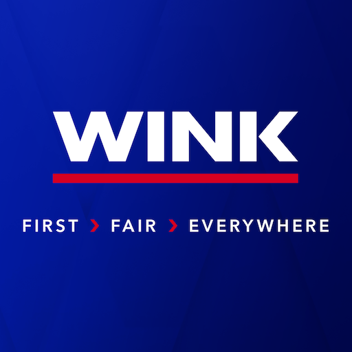 WINK News Télécharger sur Windows