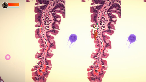 Super Histology Bros. Screen 2