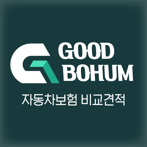 자동차보험 사고 이력 있을때가입 요율 동승자 갱신 차량 logo