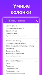 Commands for Alisa APK v1.97 Full Mod Pro 2