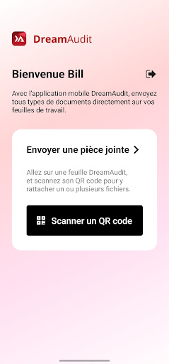 DreamAudit Mobile Screen 2