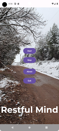 Restful Mind Screen 3