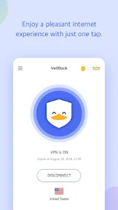 Veilduck VPN