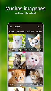Captura de Pantalla 2 Fondos de pantalla con gatitos android