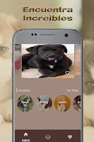 Imágenes de Cachorros - Fondos de Pantalla APK صورة لقطة الشاشة #1