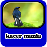 Kacer Mania|Master Juara Offline mp3 icon
