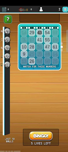 The Bingo Room - Screenshot 3