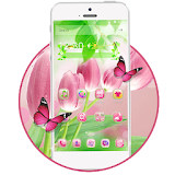 Pink Tulips Launcher icon