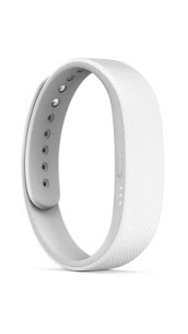 SmartBand SWR10 For PC 4