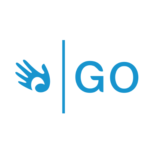 FSI GO logo