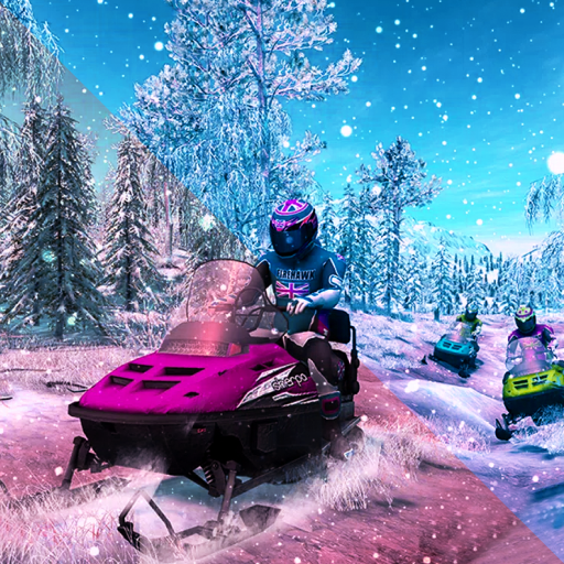 ATV Quad Snow Mobile Arctic 3D