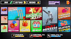 Real World League Cricket Gameのおすすめ画像3