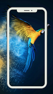 Bird Wallpaper HD Background