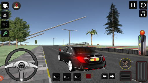 President Police Protection Game  screenshots 2