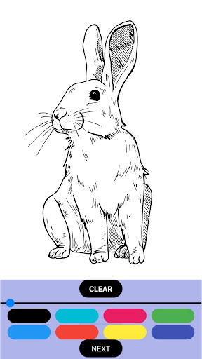 LEARN SKETCH Screen 2