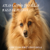 Atlas Canino: Razas de Perros icon
