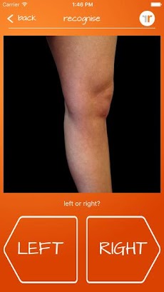 Recognise Kneeのおすすめ画像2