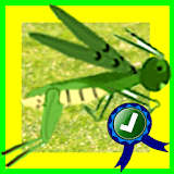 Hungry Grasshopper Jumping icon