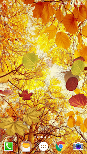 Falling Leaves Live Wallpaper