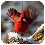 Tile Puzzles · Birds icon