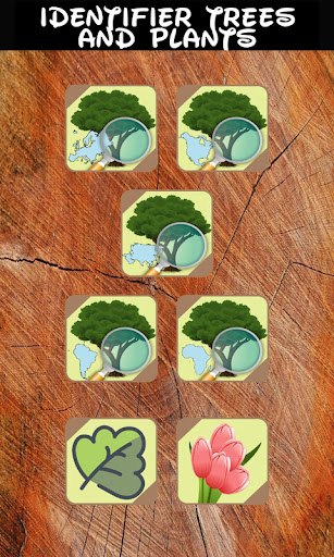 Android application Identifier trees and plants screenshort