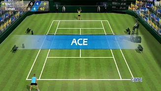3D Tennis Screenshot