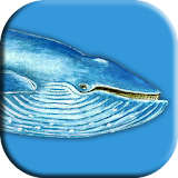 Blue Whale Game icon