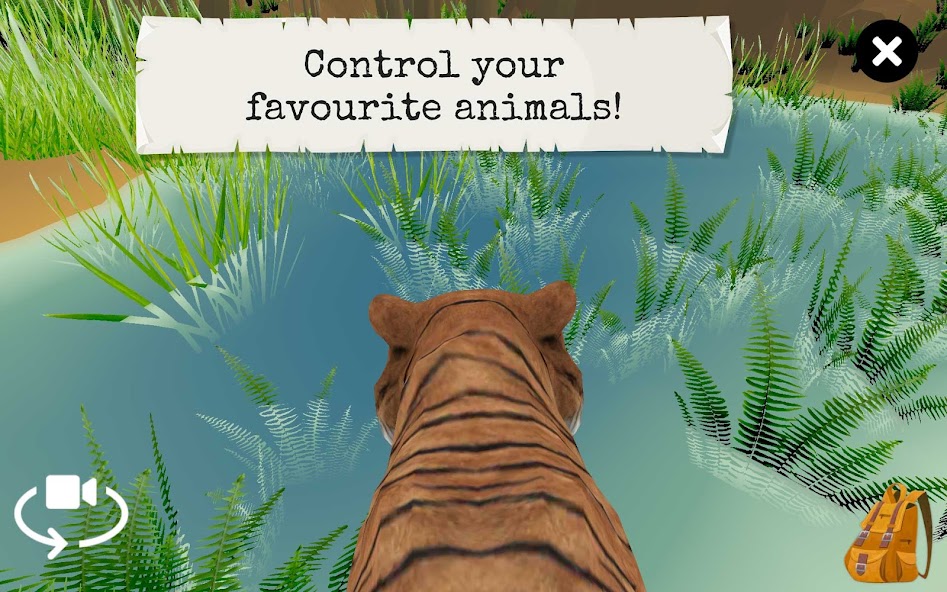 Wild Animals VR Kid Game screenshot