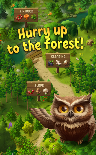 Forest Bounty — collect & cook 10