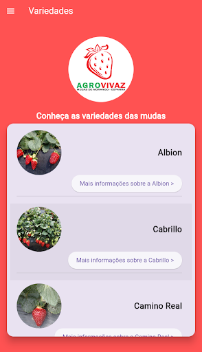 Agrovivaz Screen 2
