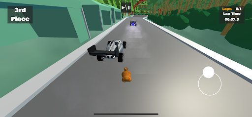 Ultimate Cat Race