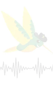 Rádio Kolibry
