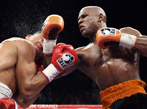 Learn Boxing Screen 2