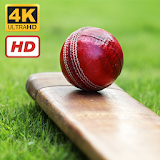 Cricket Wallpapers HD+4K icon