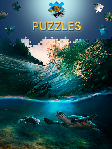 Free Dolphin Jigsaw Puzzles Screen 2