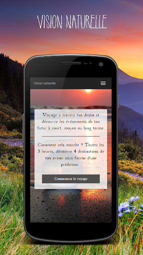Aperçu de l'application
