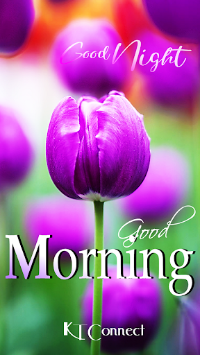 ऐप पूर्वावलोकन