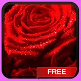 Red Rose Fire Live Wallpaper icon