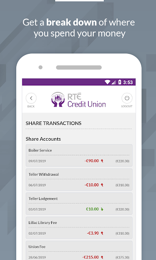 RTE Credit Union Screen 3