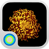 Gold Flower Launcher Theme icon